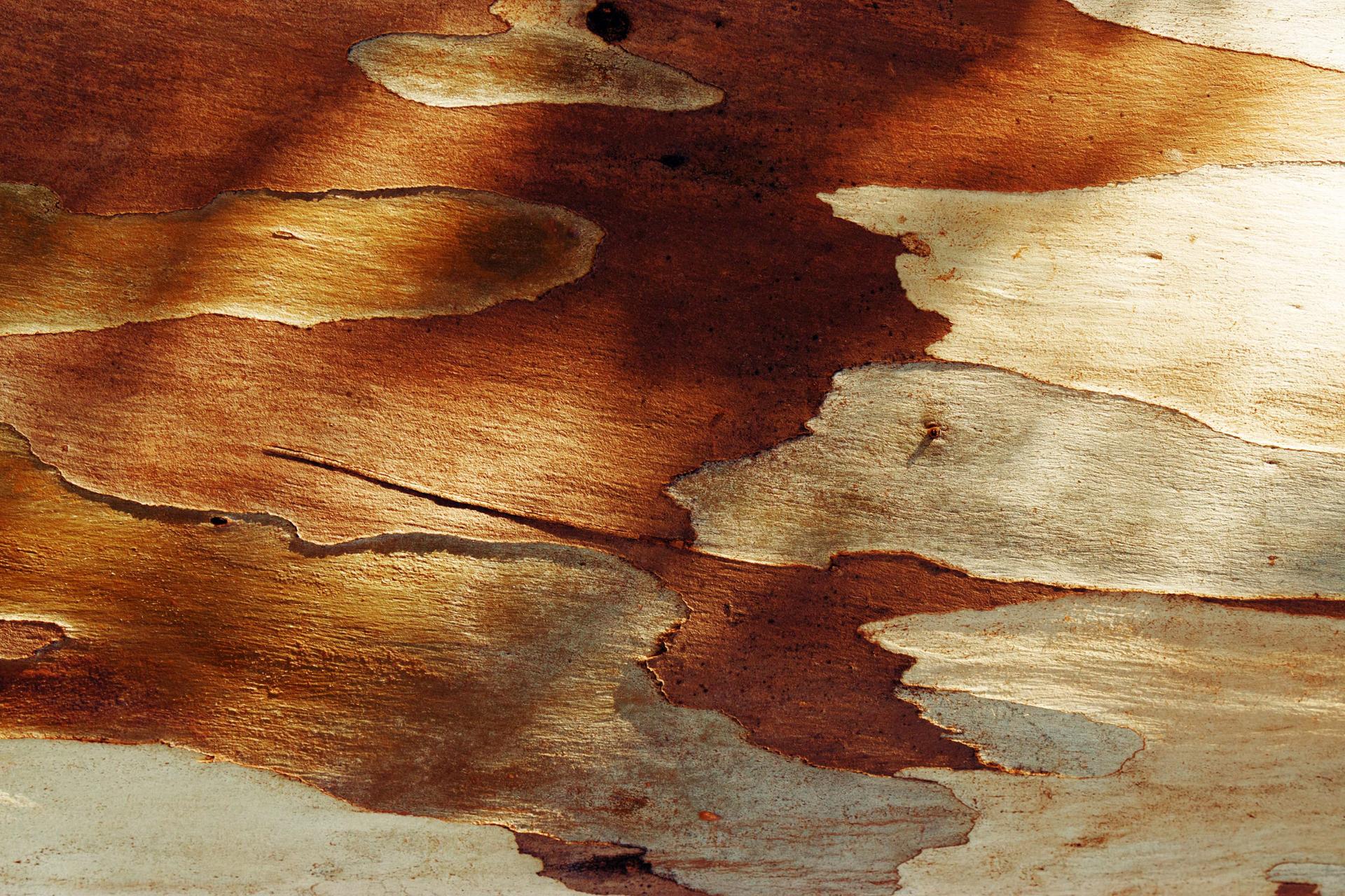 Textura de roca en detalle